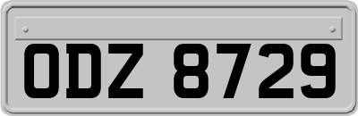 ODZ8729