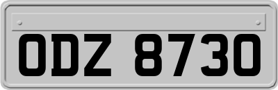 ODZ8730