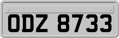 ODZ8733