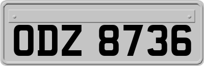 ODZ8736