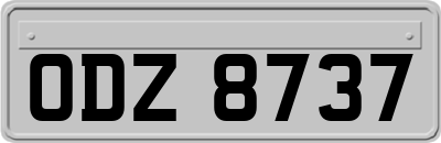 ODZ8737