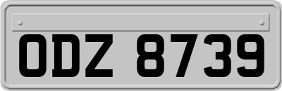 ODZ8739