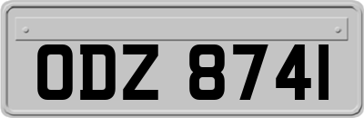 ODZ8741