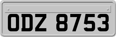 ODZ8753