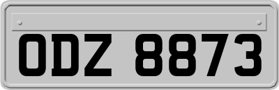 ODZ8873