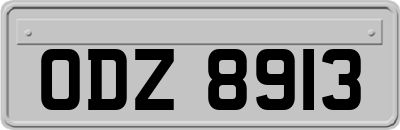 ODZ8913