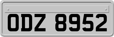 ODZ8952