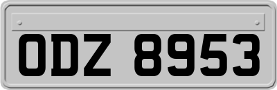ODZ8953
