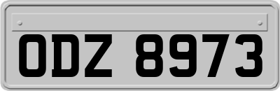 ODZ8973