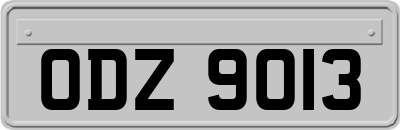ODZ9013