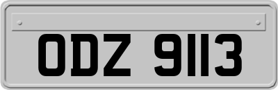 ODZ9113