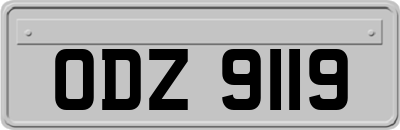 ODZ9119