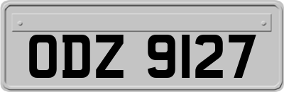 ODZ9127
