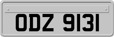 ODZ9131