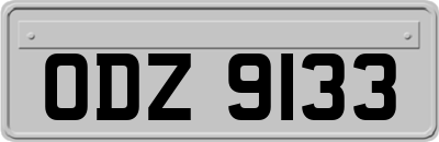ODZ9133