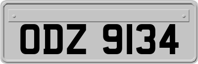 ODZ9134