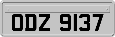 ODZ9137