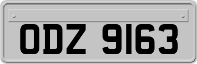 ODZ9163