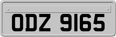 ODZ9165