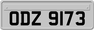ODZ9173