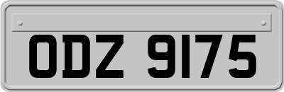 ODZ9175