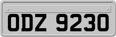 ODZ9230