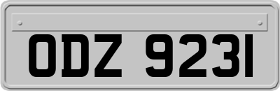 ODZ9231