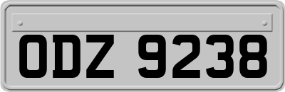 ODZ9238