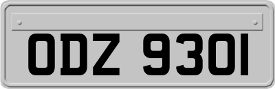 ODZ9301