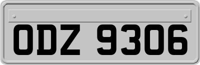 ODZ9306