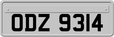 ODZ9314