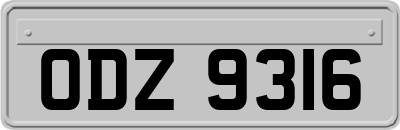 ODZ9316