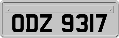 ODZ9317