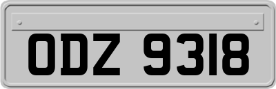 ODZ9318