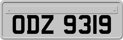 ODZ9319