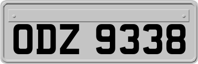 ODZ9338