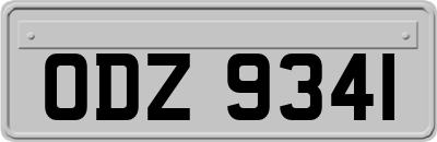 ODZ9341