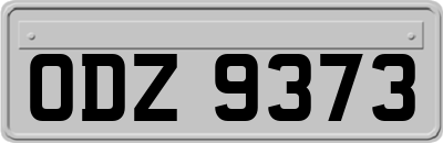 ODZ9373