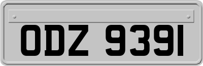 ODZ9391
