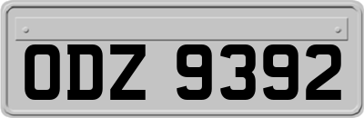 ODZ9392