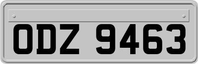 ODZ9463