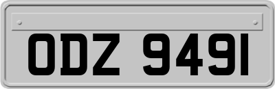 ODZ9491