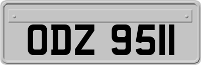 ODZ9511