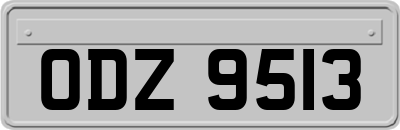 ODZ9513