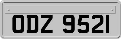 ODZ9521