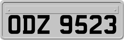 ODZ9523