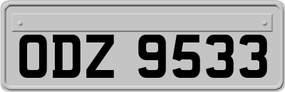 ODZ9533