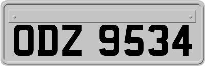 ODZ9534