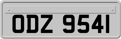 ODZ9541