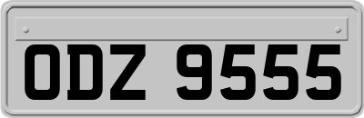 ODZ9555